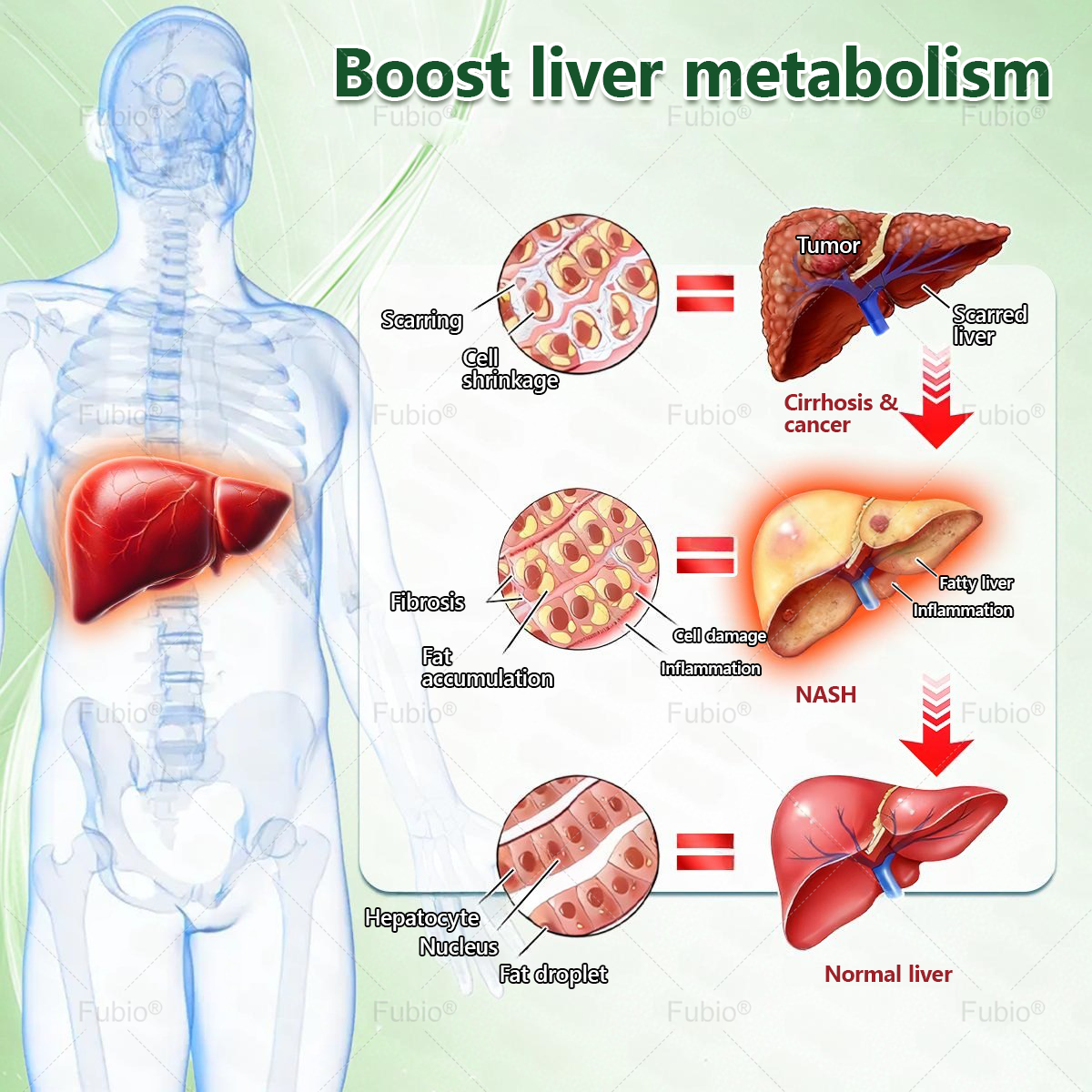 𝑨𝒔 𝒂 𝒍𝒖𝒄𝒌𝒚 𝒄𝒖𝒔𝒕𝒐𝒎𝒆𝒓, 𝒚𝒐𝒖 𝒉𝒂𝒗𝒆 𝒐𝒏𝒆 𝒎𝒐𝒓𝒆 𝒄𝒉𝒂𝒏𝒄𝒆 𝒕𝒐 𝒆𝒏𝒋𝒐𝒚 𝒂 50% 𝒅𝒊𝒔𝒄𝒐𝒖𝒏𝒕 𝒐𝒏 𝒚𝒐𝒖𝒓 𝒏𝒆𝒙𝒕 𝒔𝒉𝒐𝒑𝒑𝒊𝒏𝒈 𝒔𝒑𝒓𝒆𝒆!𝑭𝒖𝒃𝒊𝒐®